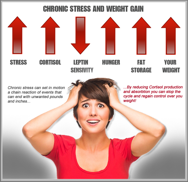 Why Stress May be Causing Fat Gain